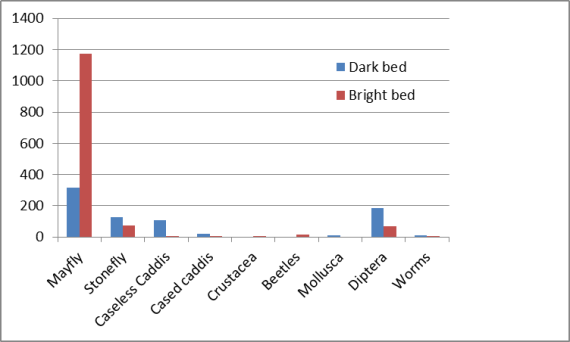 Comparison between dark and bright riverbed invertebrate samples