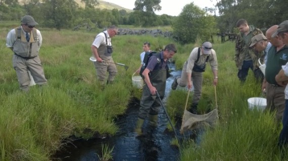 Steve assisted by the Craigellachie ghillies electrofishing in the Tommore Burn. Chris can even do it standing on one leg.