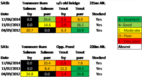 TSite SA1b was the first site surveyed. I mentioned last night that the salmon parr density was probably in the excellent category but it didn't quite make that, although good is what it says on the tin.