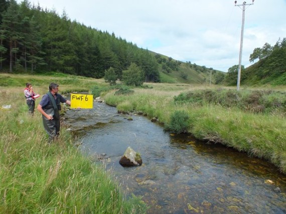 Second last site of the day. 90 salmon and trout were caught at this site.