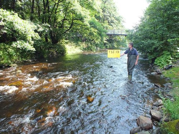 Balvenie Distillery survey site