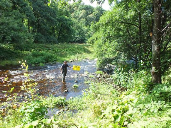 Kininnvie survey site; a bit too deep to be considered optimum fry habitat but we still had a good catch.
