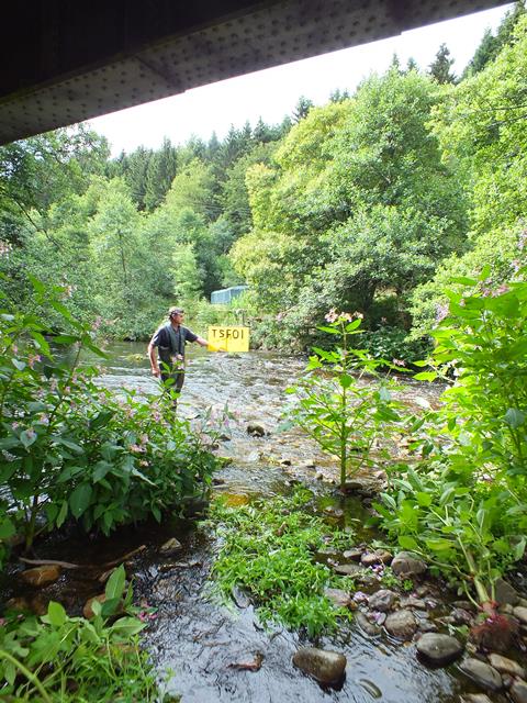 The survey site in the lower River Fiddich