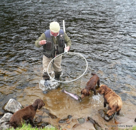 Safely netted.