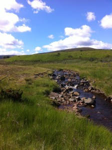 First site on the flood plain of the Burn of Brown. The sun shone the whole day! 