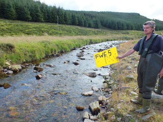 Lovely habitat for juvenile salmon in the upper Fiddich. More salmon fry were found here than in the three sites downstream. Al to do with habitat quality and availablity of spawning substrate.
