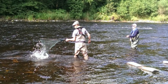 Rory nets another fish.