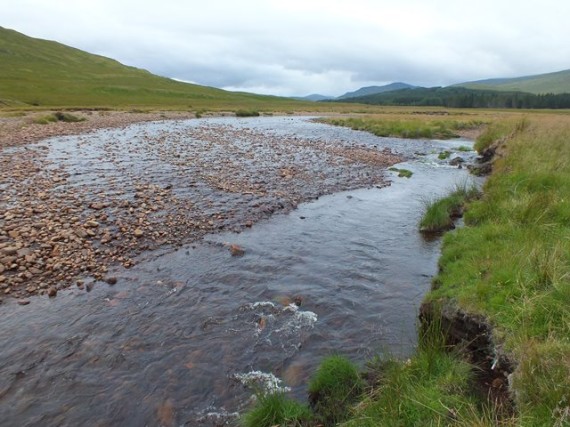 Again nice salmon fry habitat downstream of Melgarve.