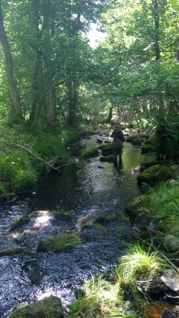 Site SLB12b in the Ballintomb Burn. This is qute a high gradient area with a high percentage of boulders.