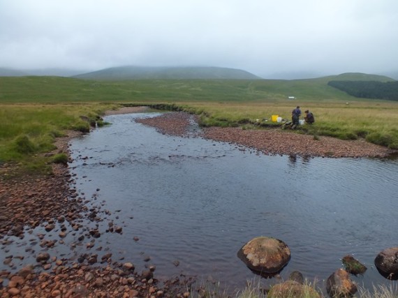 The uppermost site at Shesgnan Bothy. It is not a big river up here but that riffle was perfect salmon fry habitat