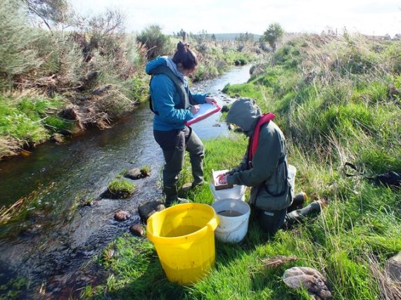 Kirsteen and Polly processing the catch on a fresh autumn day.