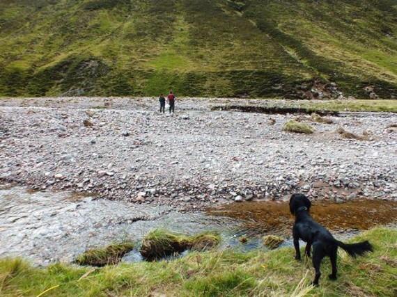 Uppee survey site in the Allt Gharbh Ghaig. The river channel itself is only about 10m wide but the river bed is about 80m. This must be an incredibly hostile environment for juvenile salmon. In the Spey catchment only the Feshie can compare in terms of river mobility. 