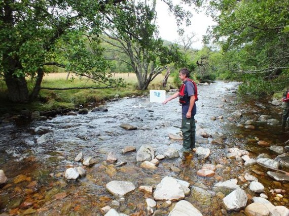 Density site T18, the river was more bouldery here; good parr habitat 