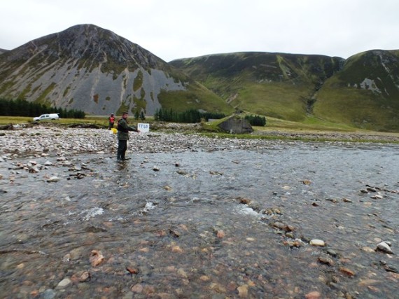 The lower timed survey site in the Allt Gharbh Ghaig. We found three salmon fry, four salmon parr and a few trout at this site. 