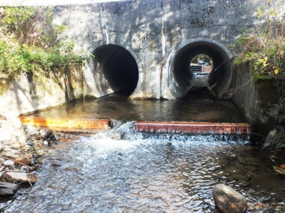 Timber baulks to create depth on the formerly shallow concrete bridge apron ont he downstream side of the culverts