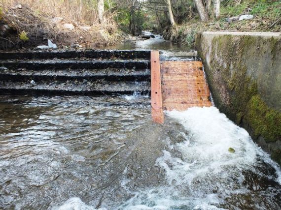 The timber ramp installed on the Mackalea Burn steps 