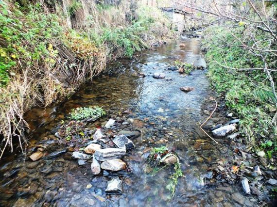One of two sea trotu redds in close proximity a short distance upstream of the new fish pass.