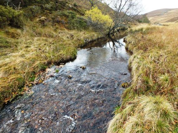 Tjhe allt Iomadaigh a little further upstream. Our upper eelctrofishing site is located a short distance downstream of where this photo was taken. The tail of the pool looked a great site for spawning and sure enopugh there were at least three good sea trout redds.