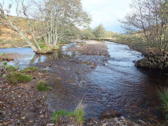 Typical nice varied habitat in the middle reaches of the Lochy. 