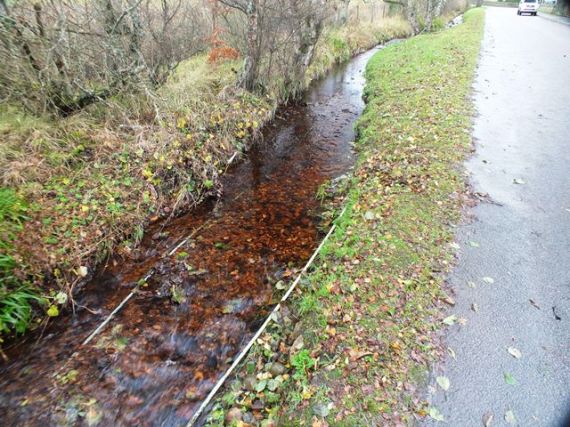 Trout redd by the road opposite the Grantown Caravan Park. This was one of about 10 redds in less than 100m downstream of the park entrance.