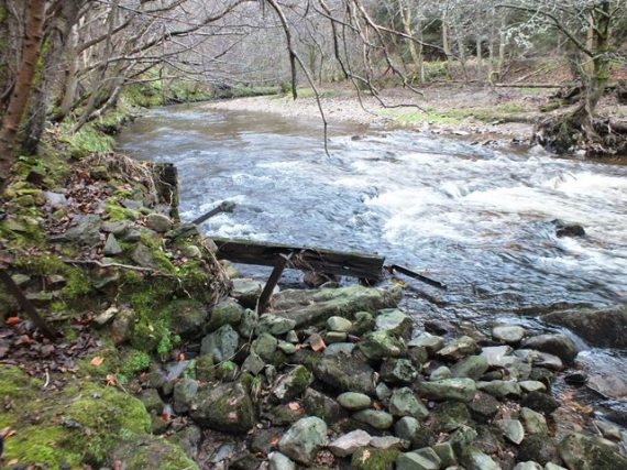 The remains of an old weir? 