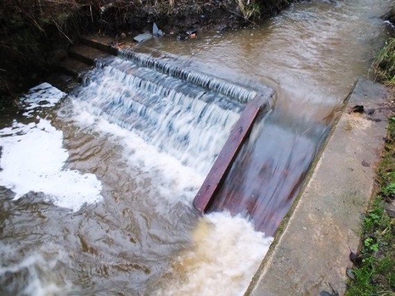 Rising and dirty water yesterday afternoon