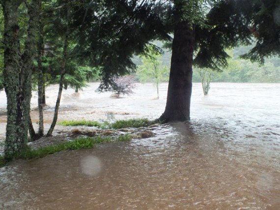 The Spey up in amongst the trees on the 11th Aug 2014