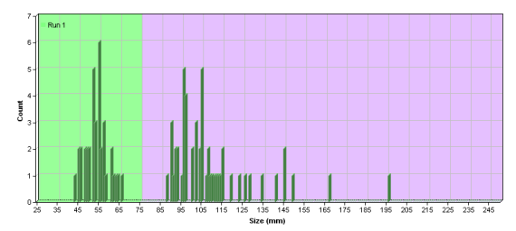 Trout size distribution in the Kylintra Burn opposite the Craiglynne Hotel in Aug 2014