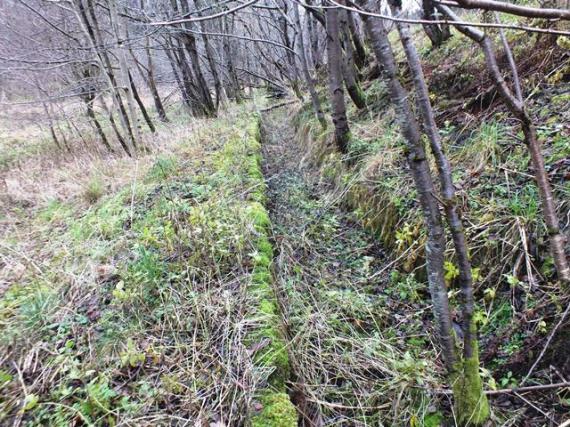 The remains of the water lade along the right bank
