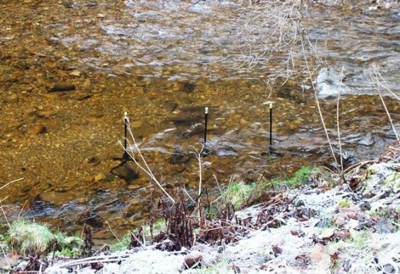 Several salmon in and around the static Gopro underwater video cameras. The cameras were fixd to heavy stands whcih were positioned to overlook the redds. 
