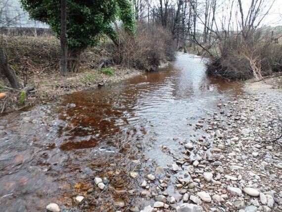 The lower Broad burn is an excellent spawning burn with an abundance of suitable gravel. 