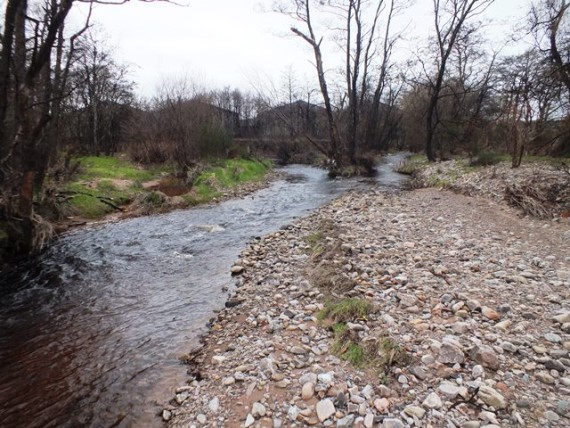 The Rothes Burn is joined by stwo other spawning burns between the village and the Spey. This photo shows the Broad Burn confluence. the Broad Burn is used by spawning salmon and trout as far upstream as the soon to be eased fish barrier at a distillery. 