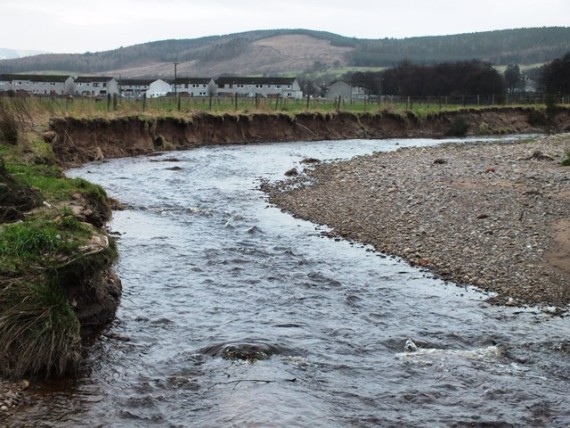 A short distance upstream I came across this eroding bank. The burn is cutting into the old flood plain through the soft friable alluvial substrate. This is one potienial source of the sandthat was present at the Spey confluence 