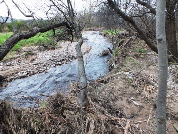 Upstream, thankfully, the burn was bit tidier with the new channel well established.