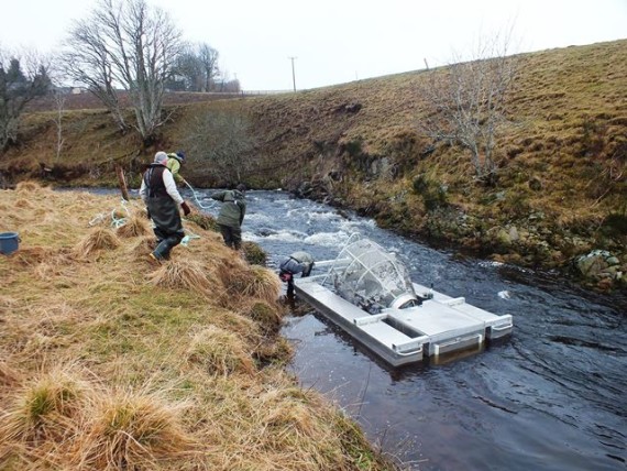 The trap in the Allt Deveron