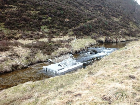 River Fiddich trap in location