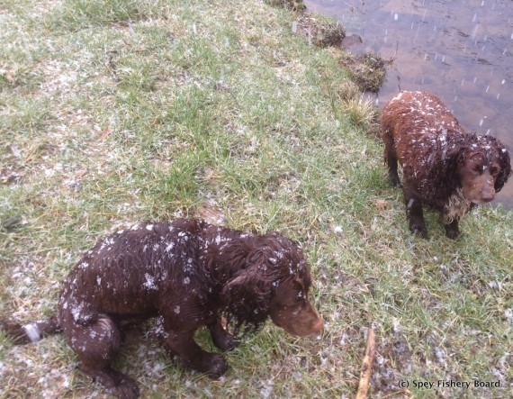 On Tuesday there was some snow!