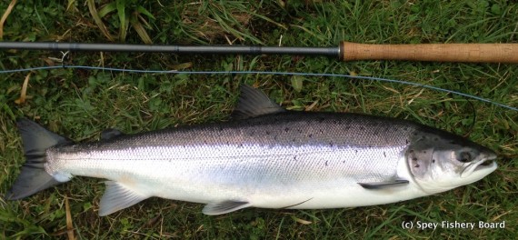Carron's 1st fish