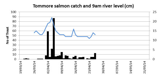 Tommore salmon catch related to burn height (cm)