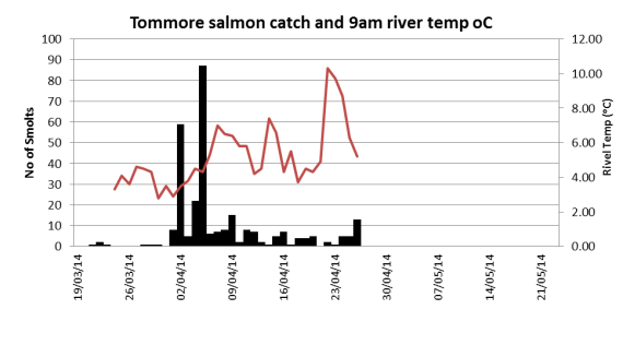 Tommore Burn trap salmon catch related to burn temperature