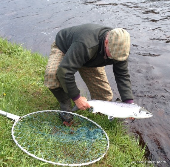 Sam with Mike Shaw's fish Wester Elchies