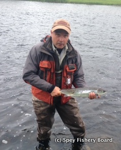 Nigel Arthur Grilse, Craigellachie