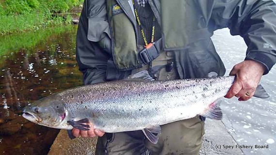 Kenny Carr Grantown
