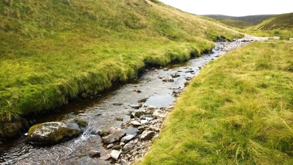 The upper Dulnain - a nice wee burn at this point.