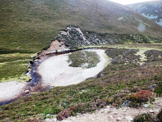 Typical habitat in the upper Loin