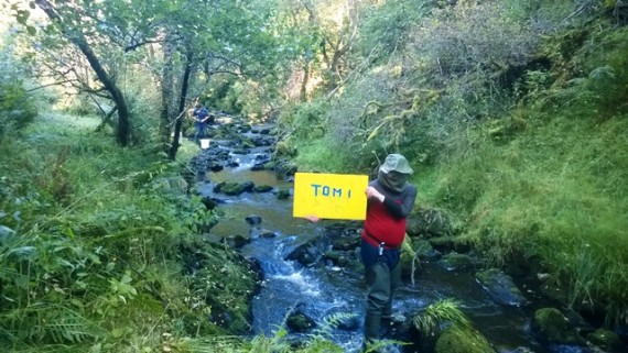 The lower Tommore Burn stocking monitoring site.