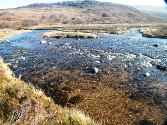 The Allt Coire Ruairidh confluence. There were four redds in this frame, a nice wee cluster at over 2000ft altitude.