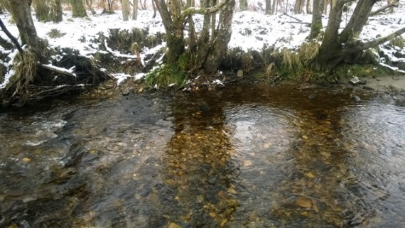 Typical Fiddich salmon redd