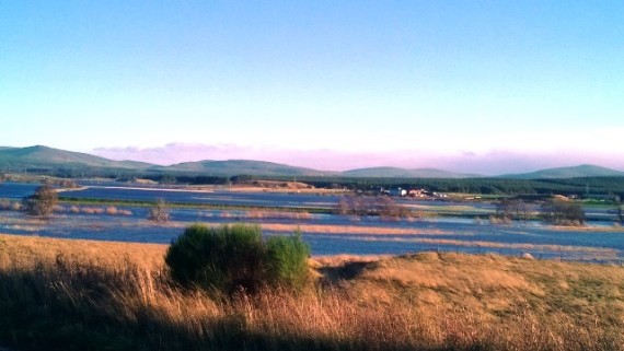 Another view from the same spot.