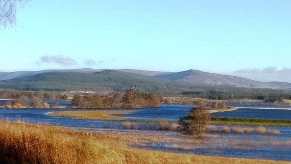 View of the floodplain downstream of Boat of Garten Dec 2015